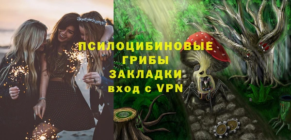 синтетический гашиш Алексин