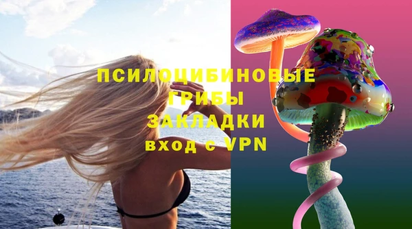 синтетический гашиш Алексин