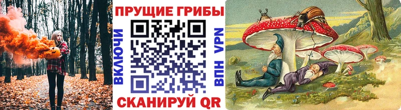 Галлюциногенные грибы Cubensis  ссылка на мегу вход  Волгоград  наркотики 